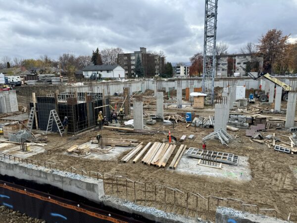 photo 2024 11 18, 12 16 52 pm