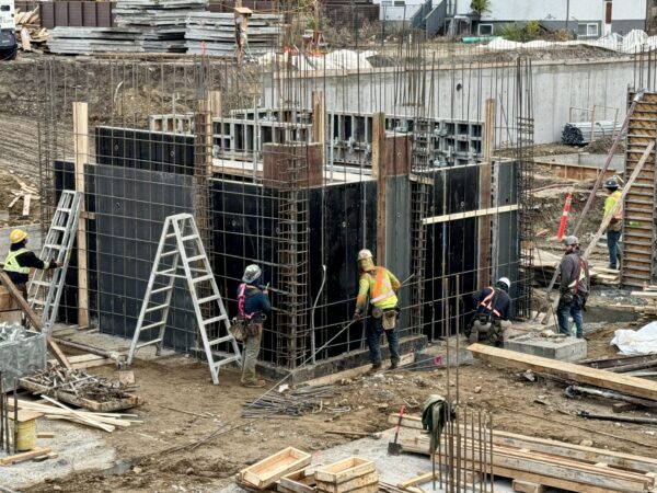 photo 2024 11 18, 12 17 03 pm